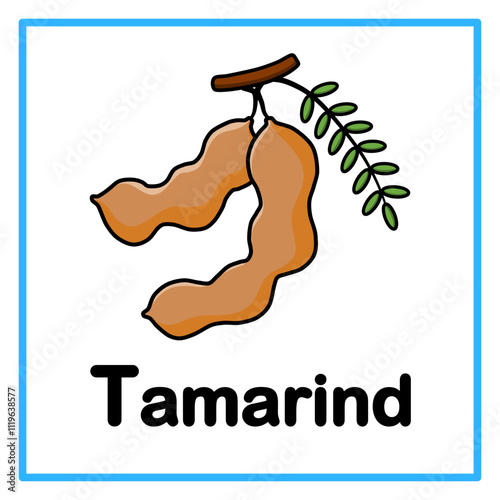 tamarind fruit alfabet illustration
