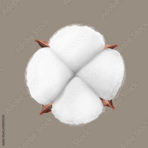 Realistic cotton boll mockup  on colour background. Vector illustration. Ready for use in your design. EPS10.