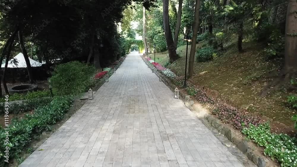 Aerial view of a wooden walkway through a lush green park Aerial view of a wooden walkway through a lush green park