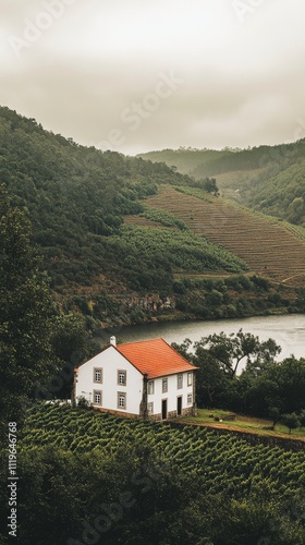 Scenic view of a vineyard house by a tranquil river in a lush valley during overcast weather