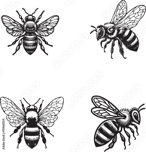 Hand-Drawn Bee Illustrations Set