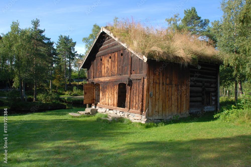 wooden house in the forest