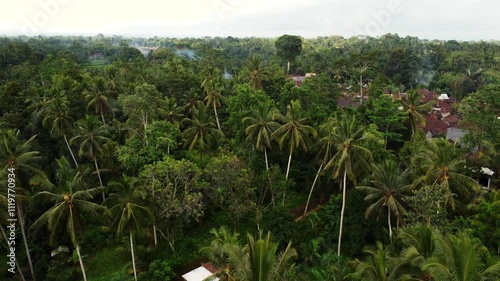 Wallpaper Mural Discover the hidden beauty of Bali's rainforest villages Torontodigital.ca