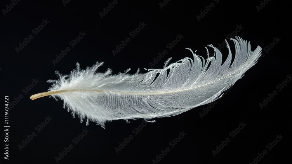 Obraz premium Abstract white feather gracefully suspended in the air isolated on a deep black background emphasizing delicacy and simplicity