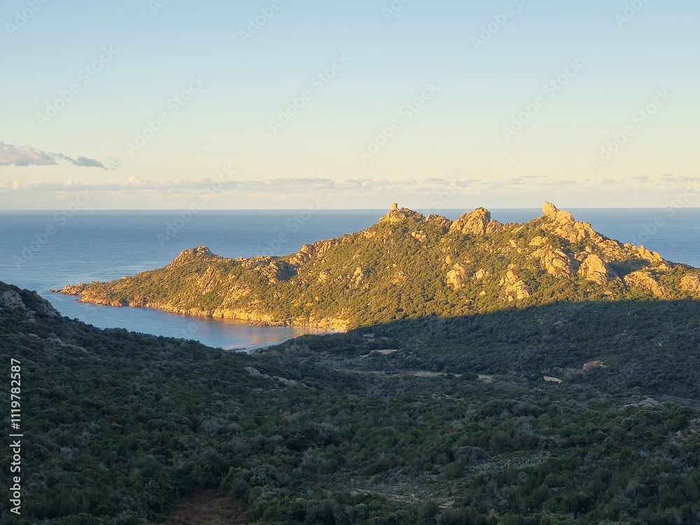 Fototapeta premium Lion de Roccapina, Corse