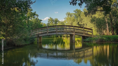 Serene wooden bridge reflected in still water surrounded by lush greenery under a clear blue sky