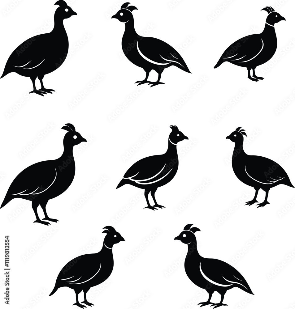 Black Silhouette Of Chukar Bird Vector. Black Silhouette Of Chukar Bird Vector.