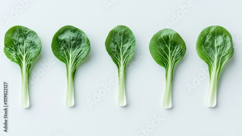 Fresh green bok choy leaves arranged in a row on a light background showcasing their vibrant color and crisp texture ideal for healthy dishes.