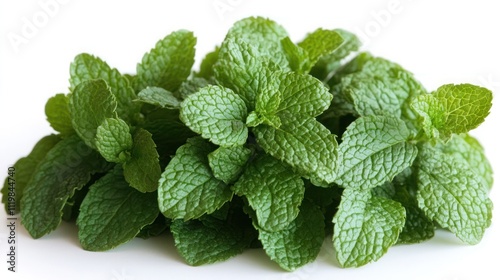 Fresh green mint leaves isolated on white background.