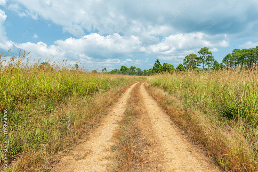 Landscape of gravel road in countryside with blue sky. Road in rainy season. Side view of dirt road on top mountain. road background. Landscape of gravel road in countryside with blue sky. Road in rainy season. Side view of dirt road on top mountain. road background.