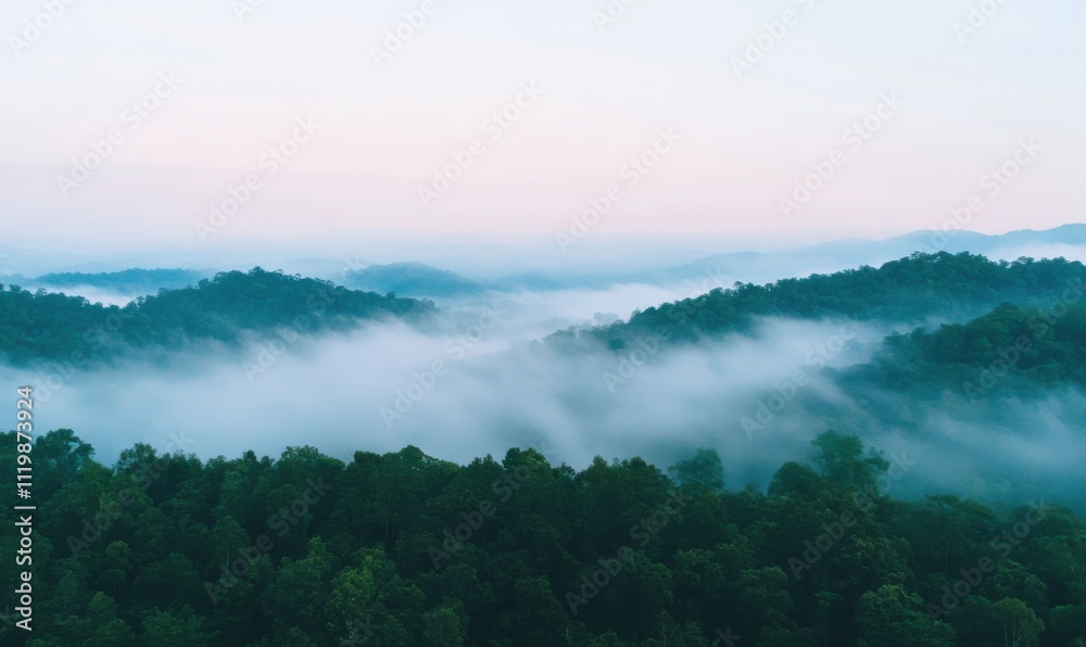 Fototapeta premium Panoramic view of forest with morning fogs