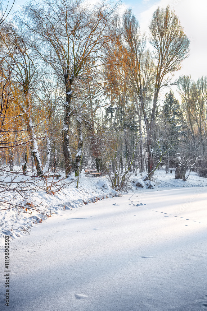 Outstanding winter sunset in city park with trees in the snow.