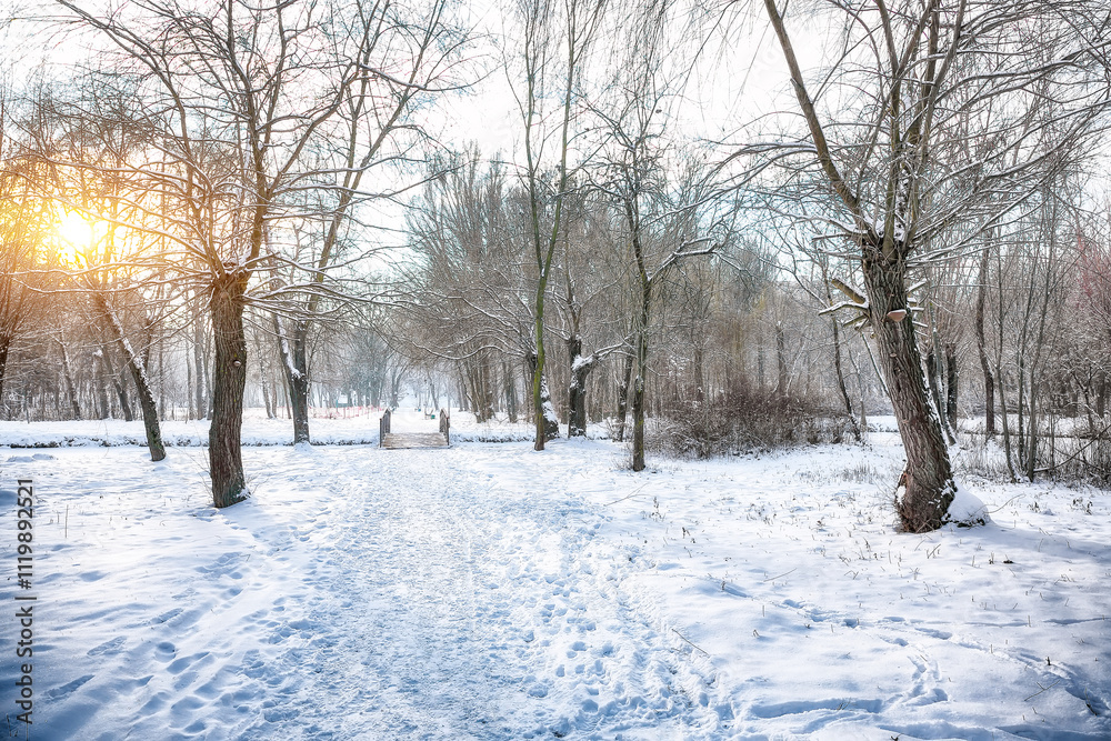 Outstanding winter sunset in city park with trees in the snow. Outstanding winter sunset in city park with trees in the snow.