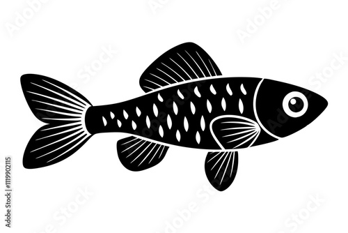 Platy Fish Silhouette (Xiphophorus maculatus)  Brightly Colored Livebearer for Aquariums & Art Prints