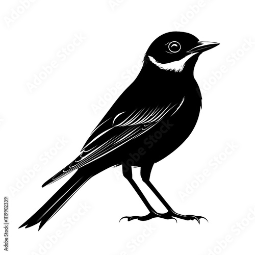 2D full body illustration full body shot of a lark silhouette isolated on a white transparent background
