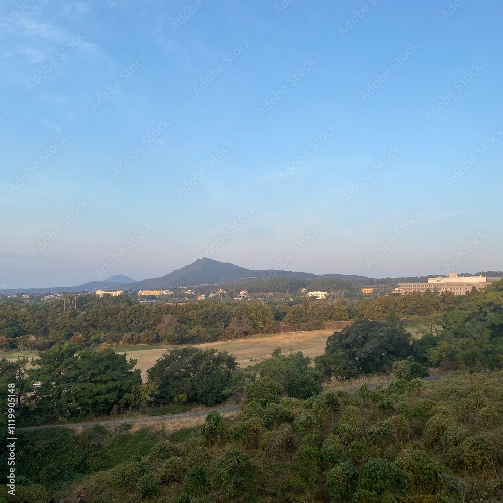 Fototapeta premium view of the city