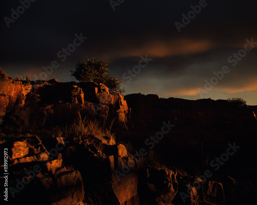 Obraz na płótnie Quarry slate with some trees under a dark cloudy sky during sunset. 3D render. w salonie