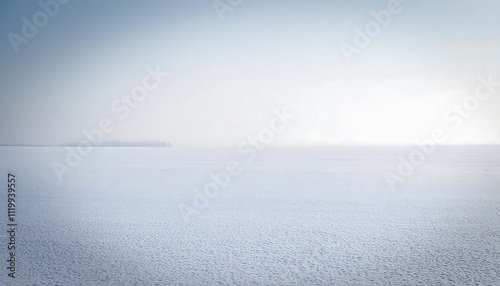 Serene winter landscape with soft light and snow.