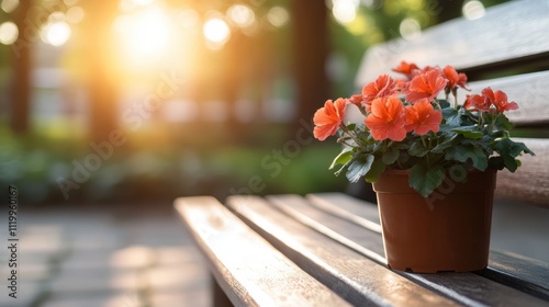 Orange flowers in a pot reside on a wooden bench as the morning sun casts a warm glow, reflecting a peaceful and beautiful park scene perfect for leisure. photo