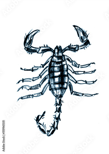 Hand drawn scorpio zodiac sign illustration, horoscope background.