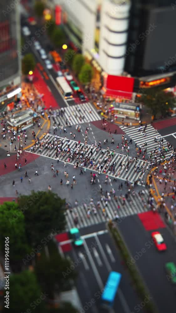 Time Lapse of the famous Shibuya Crossing in Tokyo Japan. Vertical ...