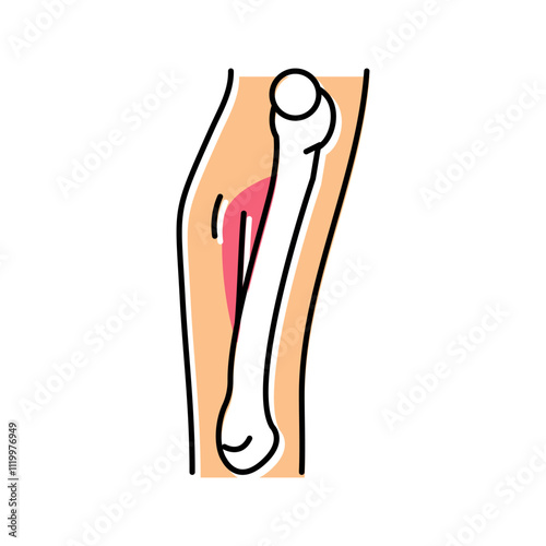 hairline fracture color icon vector. hairline fracture sign. isolated symbol illustration