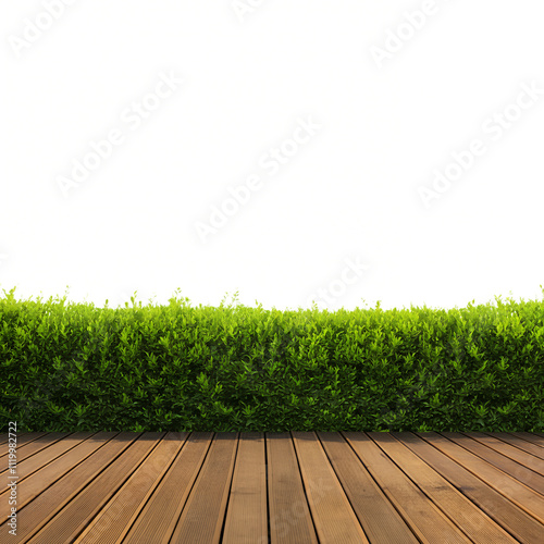 A Wooden floor with green bushes png isolated on transparent background
