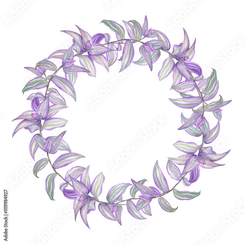 Purple green tradescantia branches watercolor wreath. Tropical spiderwort creeper house plant round frame with copy space for text. Floral illustration for greeting cards, invitation