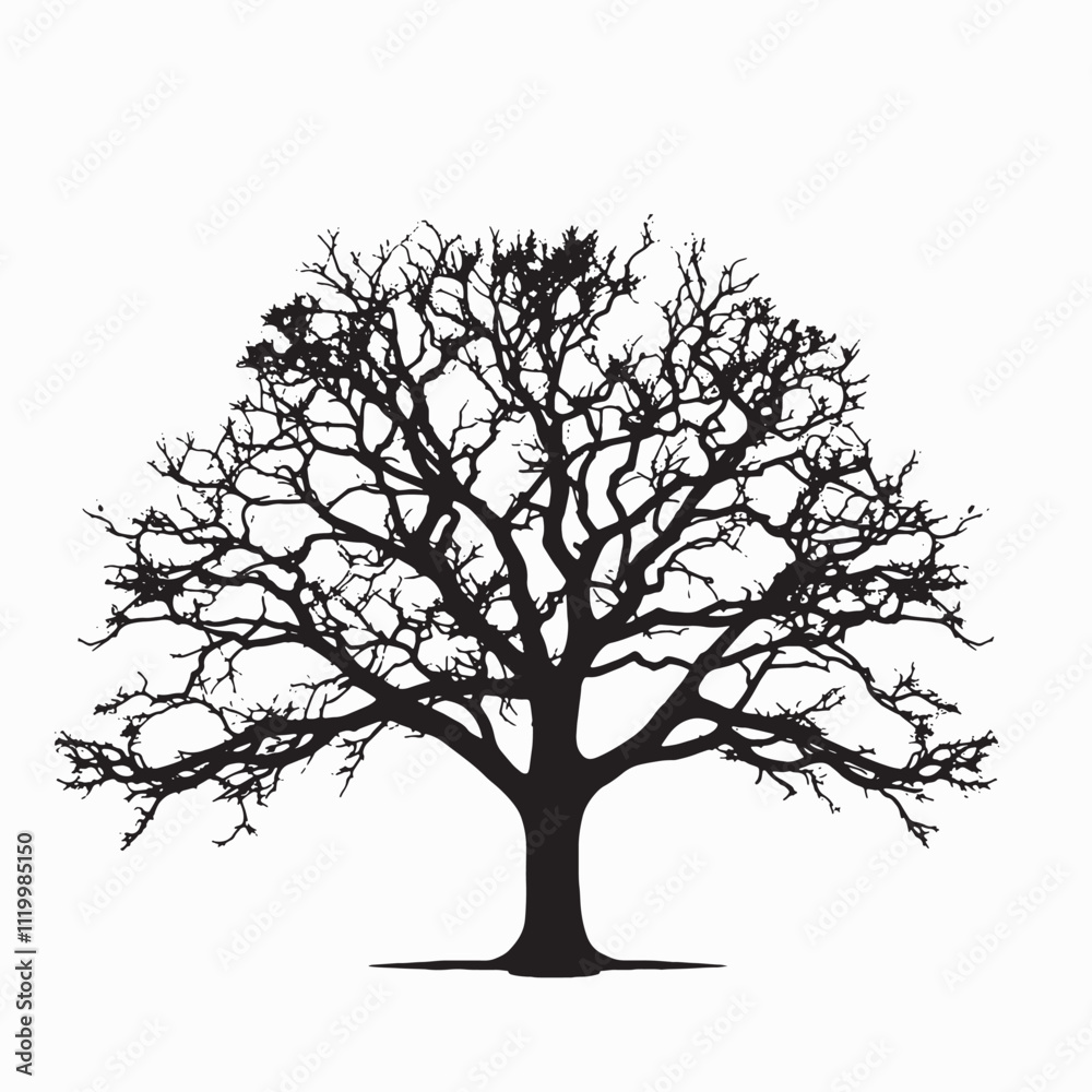 Obraz premium Detailed Oak Tree Silhouette for Logo
