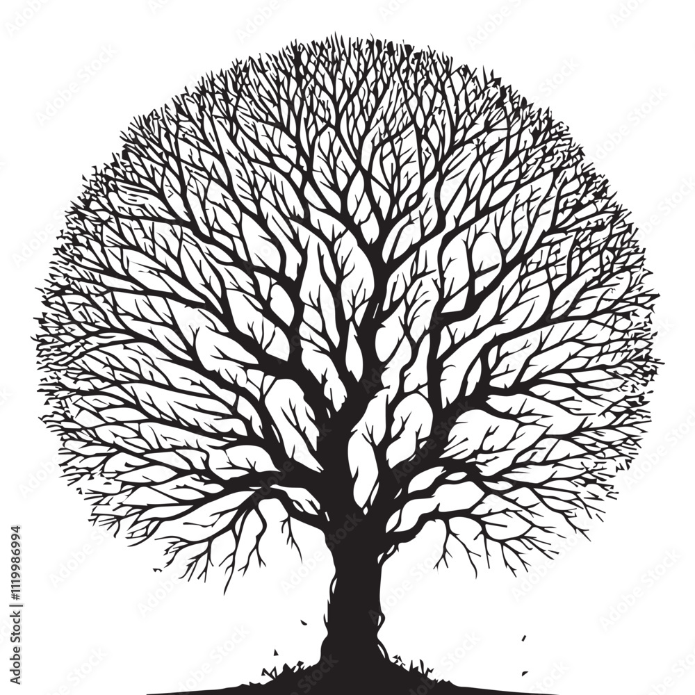 Naklejka premium Tree silhouette vector with white background