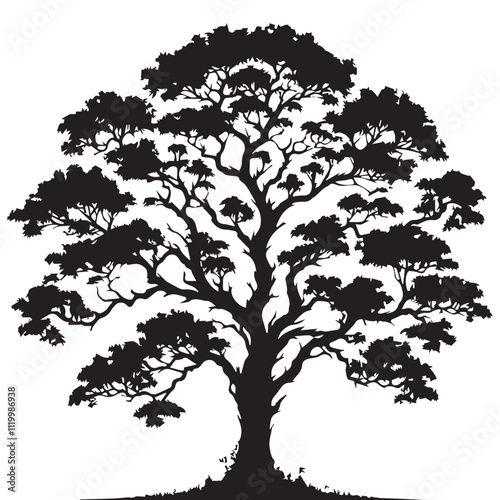 Tree silhouette vector with white background