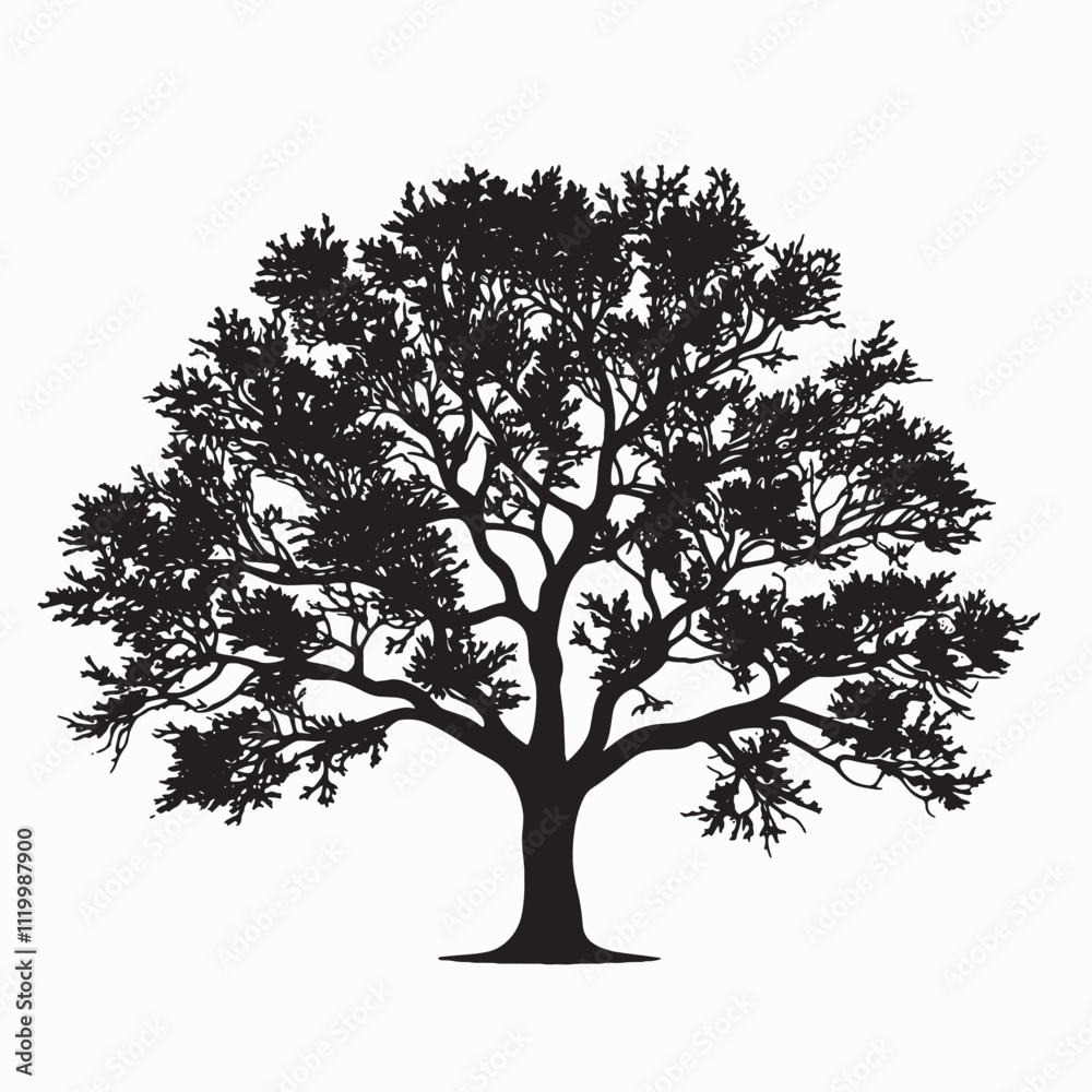 Obraz premium Minimalist Oak Tree Silhouette Clipart