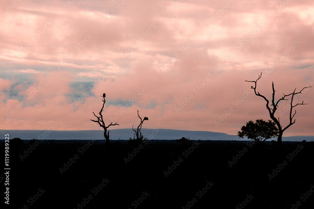 lever de soleil dans le Parc National Kruger, Afrique du Sud lever de soleil dans le Parc National Kruger, Afrique du Sud