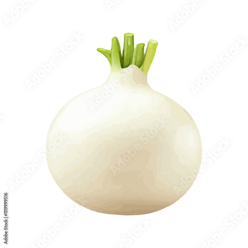 Realistic illustration of fresh fruit on a white background