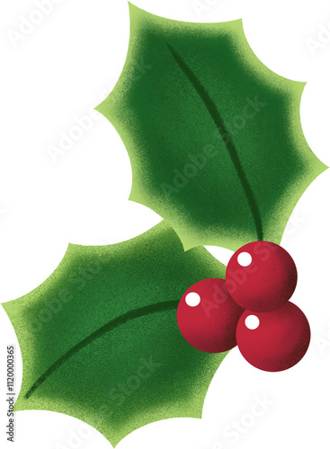 Agrifoglio Carino Natalizio Illustrazione isolata