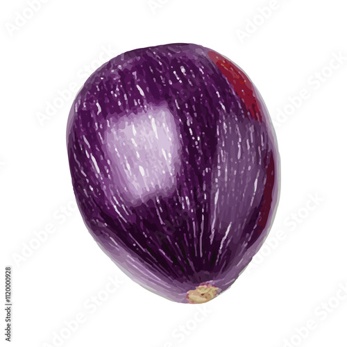 Realistic illustration of fresh fruit on a white background