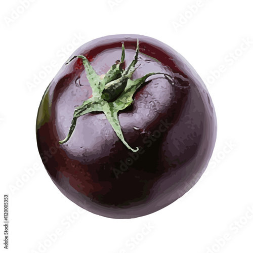 Realistic illustration of fresh fruit on a white background