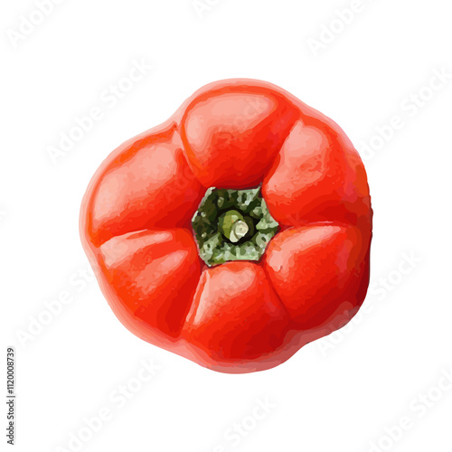 Realistic illustration of fresh fruit on a white background