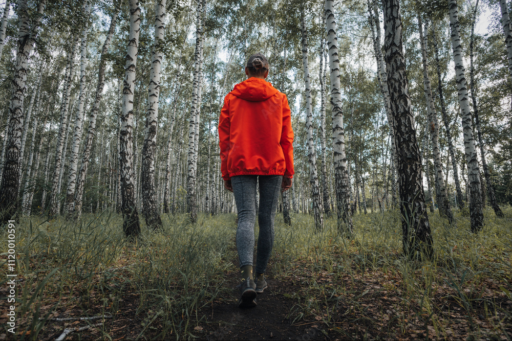 Forest hike trail hiker woman walking in autumn fall nature background in fall season. Hiking active people lifestyle exercising outdoors.. woman hiking through forest Forest hike trail hiker woman walking in autumn fall nature background in fall season. Hiking active people lifestyle exercising outdoors.. woman hiking through forest