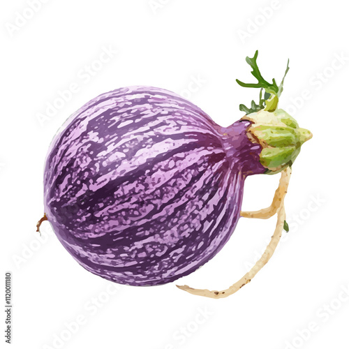 Realistic illustration of fresh fruit on a white background