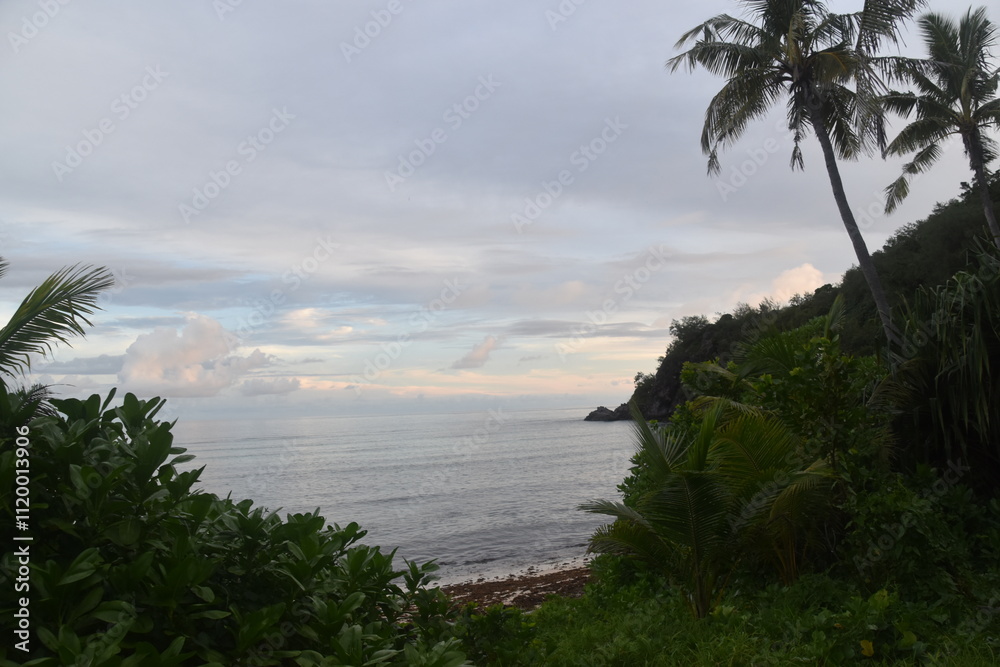 A lush green tropical paradise island with palm trees and white sandy beaches on Fiji in the Pacific Ocean A lush green tropical paradise island with palm trees and white sandy beaches on Fiji in the Pacific Ocean