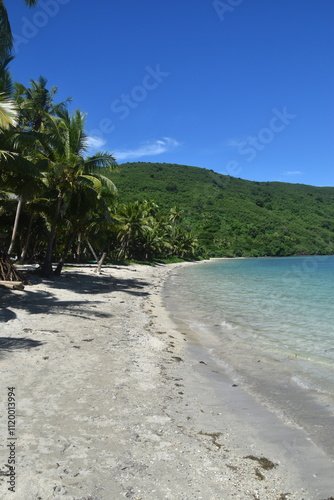 A lush green tropical paradise island with palm trees and white sandy beaches on Fiji in the Pacific Ocean photo