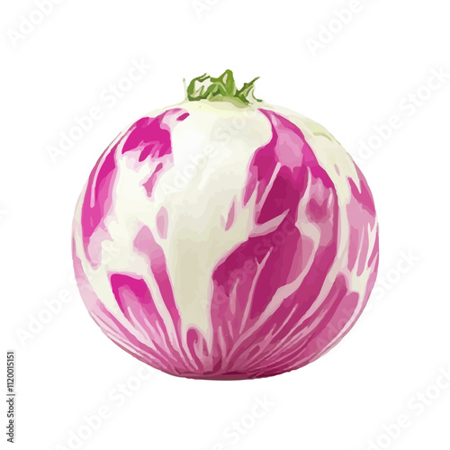 Realistic illustration of fresh fruit on a white background