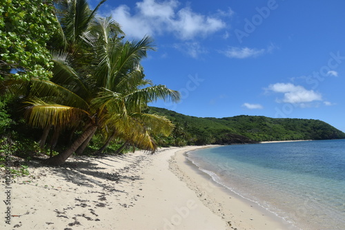 A lush green tropical paradise island with palm trees and white sandy beaches on Fiji in the Pacific Ocean photo