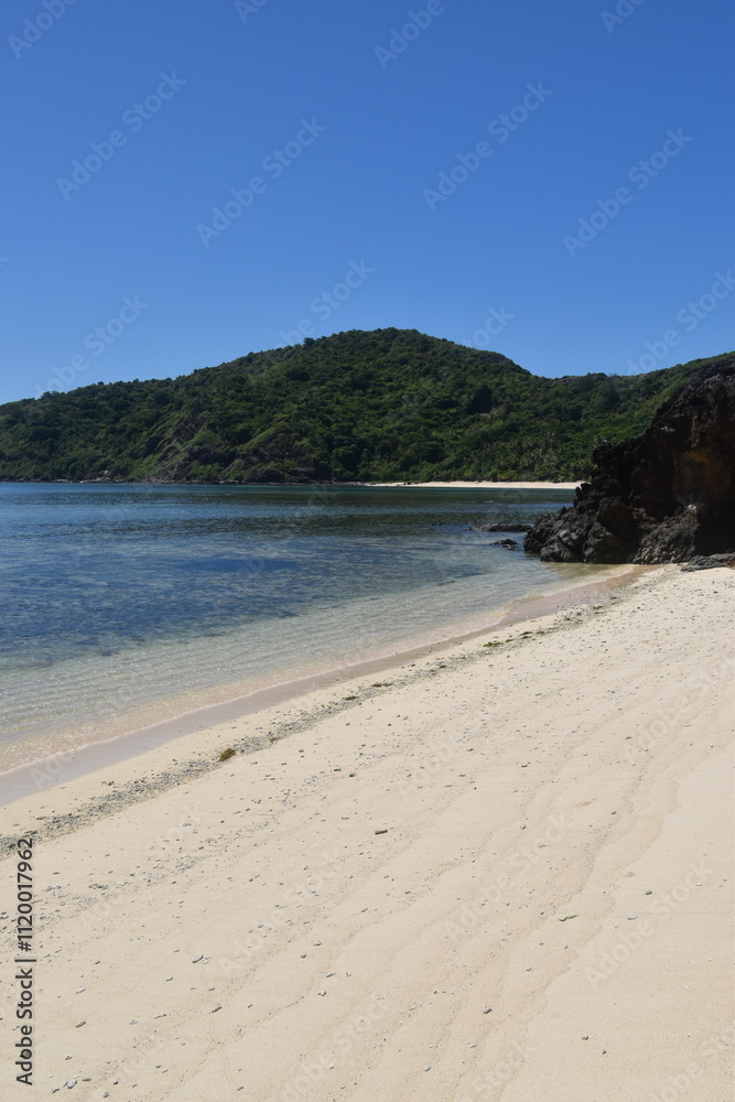 A lush green tropical paradise island with palm trees and white sandy beaches on Fiji in the Pacific Ocean A lush green tropical paradise island with palm trees and white sandy beaches on Fiji in the Pacific Ocean