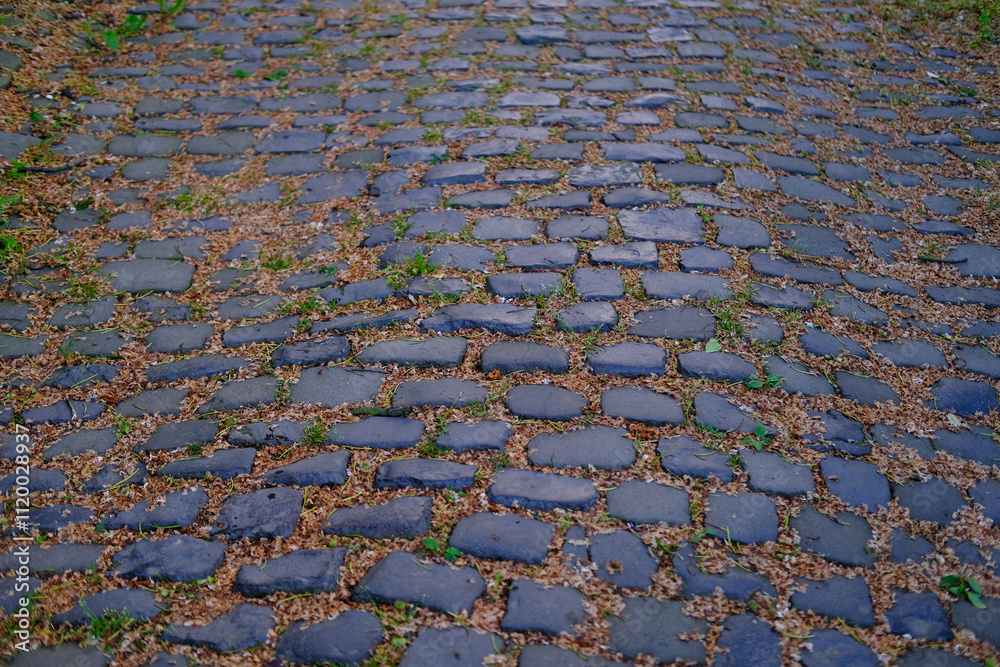 old granite cobblestone road, showcasing historic charm and classic stone craftsmanship underfoot, traditional medieval path old granite cobblestone road, showcasing historic charm and classic stone craftsmanship underfoot, traditional medieval path
