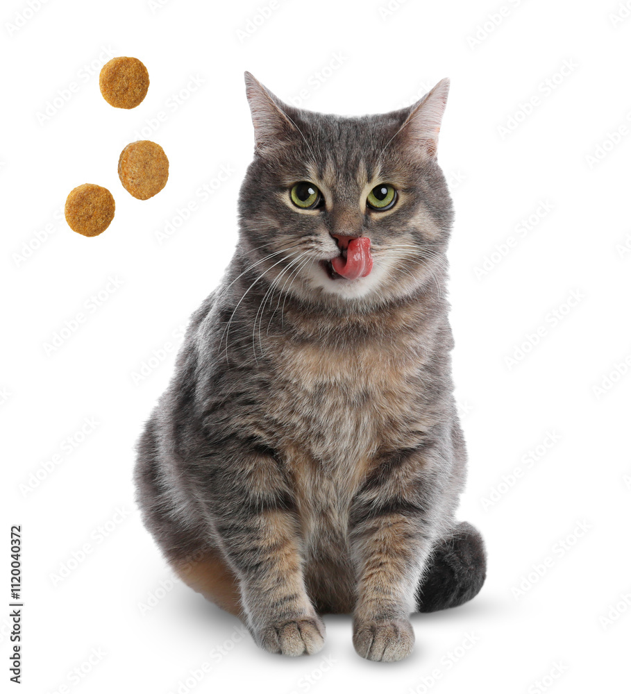 Obraz premium Adorable cat and flying dry food on white background. Pet care