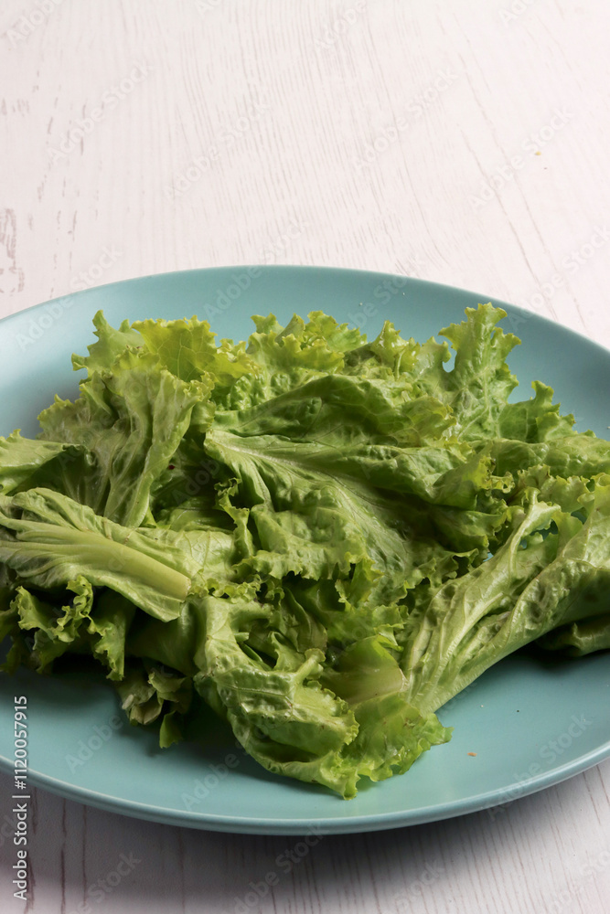 cucumber lettuce ingredient harvest fresh herbal salad garden summer organic herb farming fresh leaf cucumber lettuce ingredient harvest fresh herbal salad garden summer organic herb farming fresh leaf