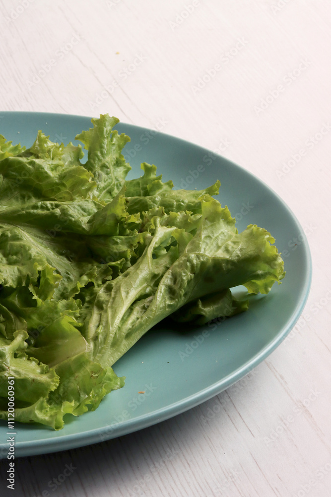 cucumber lettuce ingredient harvest fresh herbal salad garden summer organic herb farming fresh leaf cucumber lettuce ingredient harvest fresh herbal salad garden summer organic herb farming fresh leaf