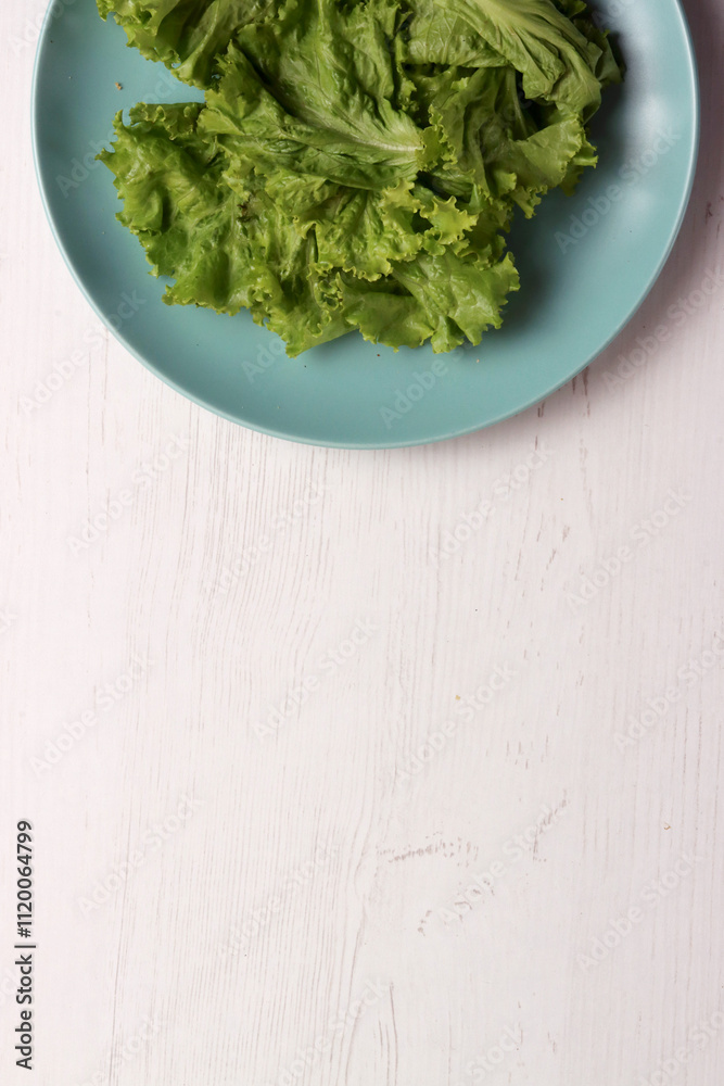 cucumber lettuce ingredient harvest fresh herbal salad garden summer organic herb farming fresh leaf cucumber lettuce ingredient harvest fresh herbal salad garden summer organic herb farming fresh leaf